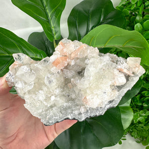 Apophyllite Cluster No.1 – Clear Points & Peach Selenite (Large 395g)