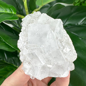 Apophyllite Cluster No.5 – Rainbow Cubes & Clarity (167g)