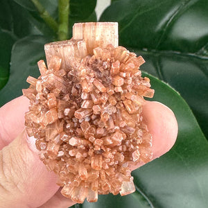 Aragonite Sputnik Formation | Earth Energy, Grounding & Support