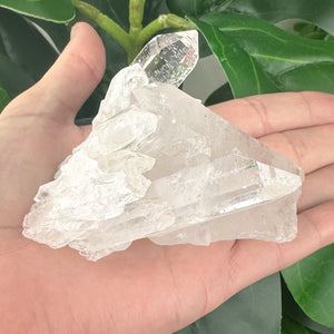 Clear Quartz Cluster | Natural Crystal | Clarity & Energy Amplification