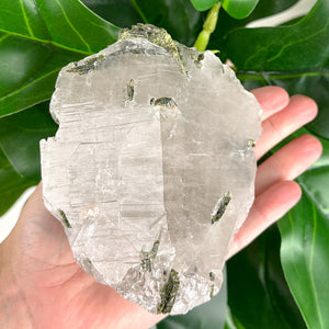Large Epidote in Quartz Crystal | Transformation & Spiritual Growth