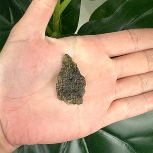 Moldavite 30ct | Genuine Tektite | Transformation Crystal