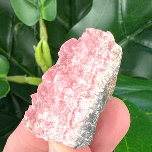 Rhodochrosite Specimen | Self Love, Compassion & Emotional Healing