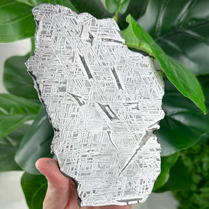 Muonionalusta Meteorite Slice 482g | Iron Meteorite Specimen