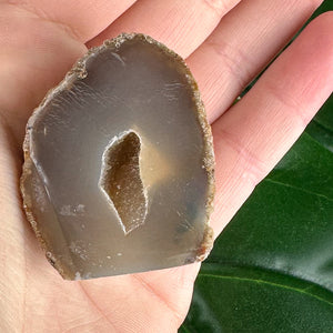 Mini Chocolate Agate Slice with Tiny Druzy Pocket | Raw Polished Crystal