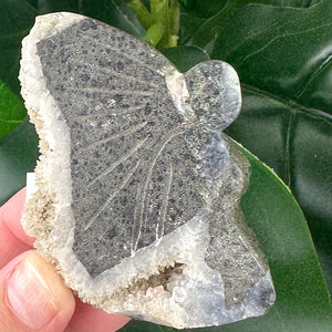 Hand Carved Fairy with Quartz Druzy Wings | Spiritual Crystal Decor (54g)