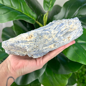 Blue Kyanite in Matrix | Communication, Alignment & Calm