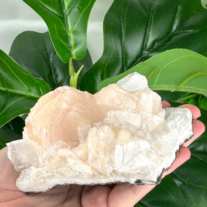 Apophyllite Cluster No.2 – Cube Structures & Peach Glow (312g)