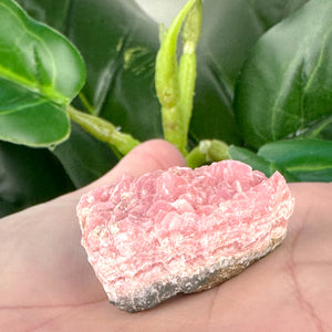 Rhodochrosite Specimen | Self Love, Compassion & Emotional Healing