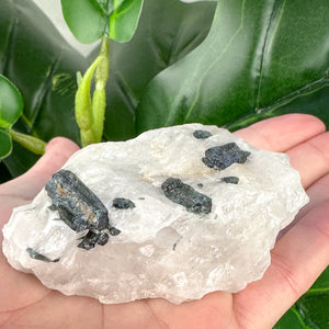 Green Blue Tourmaline in Quartz | Protection, Growth & Grounding