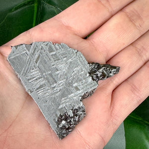 Muonionalusta Meteorite Slice 51g | Space Stone Specimen
