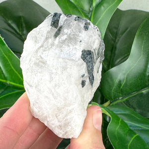 Raw Tourmaline Rod in Quartz | Grounding, Protection & Balance