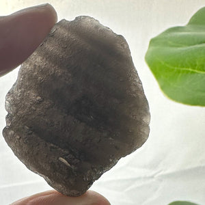 Large Saffordite 20g | Cintamani Stone | Rare Tektite