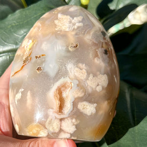 Natural Flower Agate Free Form | Self Love, Soft Energy & Healing Crystal