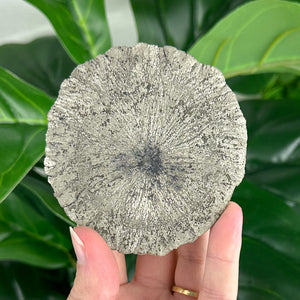 Large Pyrite Sun Crystal (103g), Raw Collector Mineral for Protection & Power