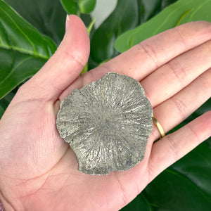 Small Pyrite Sun Crystal (58g) – Rare Collector’s Mineral for Protection & Abundance