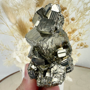 Golden Brilliance: Premium Pyrite Cluster of Strength