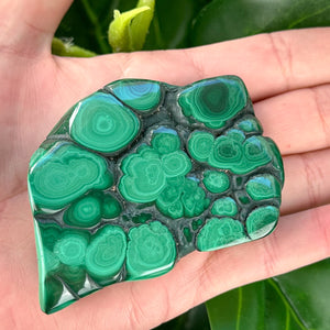 Polished Malachite Crystal | Grounding, Confidence & Protection