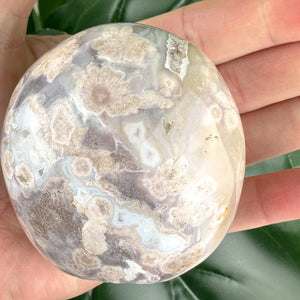 Polished Flower Agate Freeform with Druzy Pockets – 276g | Soothing Crystal from Madagascar