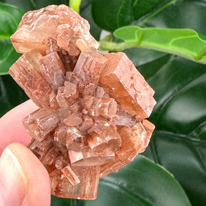 Aragonite Sputnik Crystal Cluster | Grounding, Stability & Earth Energy