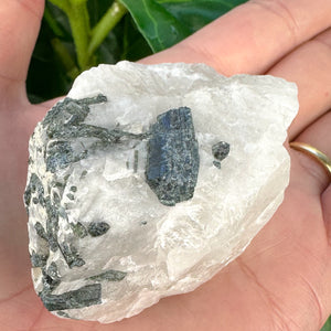 Raw Tourmaline Rod in Quartz | Grounding, Protection & Balance