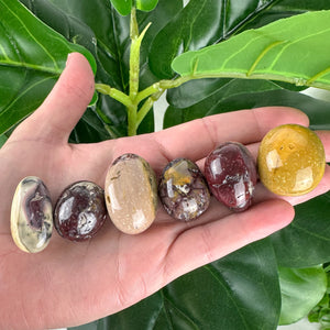 Mookaite Jasper Tumble | Strength & Grounding | Confidence