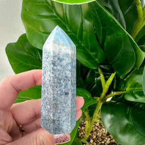 Trolleite Towers- Choose Your Own