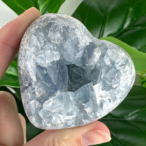 Celestite Heart “Sacred Stillness”