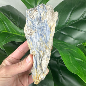 Blue Kyanite Matrix Specimen | Alignment, Intuition & Inner Peace