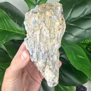 Blue Kyanite Matrix Specimen | Alignment, Intuition & Inner Peace