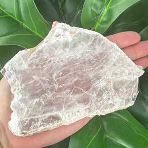 Premium Natural Selenite Window | Cleansing, Clarity & Spiritual Energy