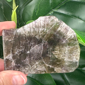Super Seven Slab | Unique Collector Crystal | High Energy Stone