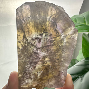 Super Seven Slab | Unique Collector Crystal | High Energy Stone
