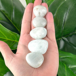 Aquamarine Tumbled Stone | Calm & Communication | Healing Crystal