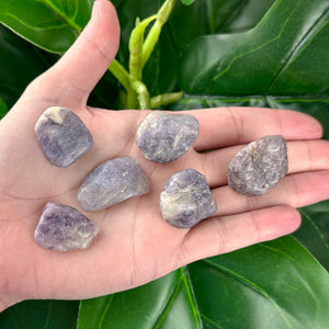 Lepidolite Tumbled Stone | Calm & Stress Relief | Healing Crystal