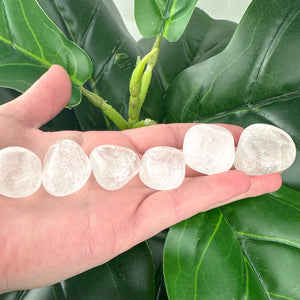 Clear Quartz Tumbled Stone | Clarity & Energy Amplification | Healing Crystal