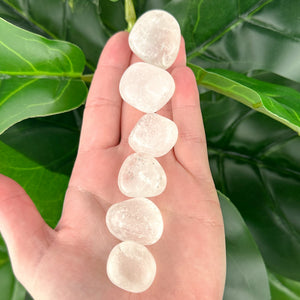 Clear Quartz Tumbled Stone | Clarity & Energy Amplification | Healing Crystal