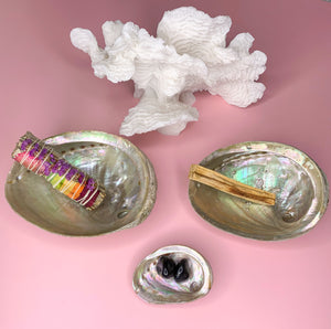Abalone Shell | Choose Your Size | Energy Cleansing & Smudging Tool