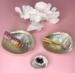 Abalone Shell | Choose Your Size | Energy Cleansing & Smudging Tool
