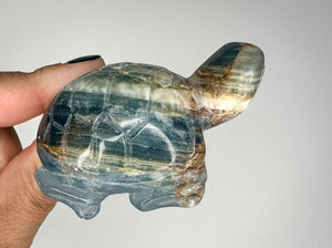 Blue Onyx Turtle