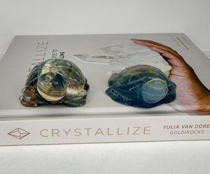 Blue Onyx Turtle