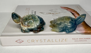 Blue Onyx Turtle