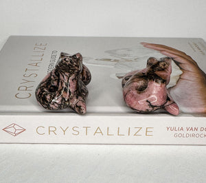 Intuitive Selection Rhodonite Snake Carving - Healing Crystal