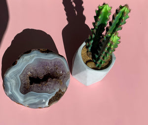 Large Amethyst Cluster