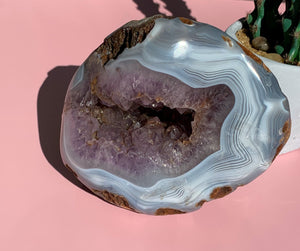 Large Amethyst Cluster