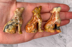 Crazy Lace Agate Wolf
