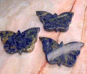 Lapis Lazuli Butterfly