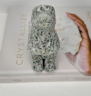 Large Kiwi Jasper Wolf Carving