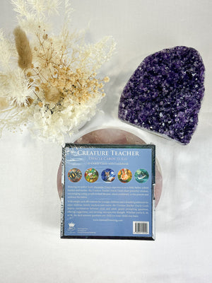 Creature Teacher Cards for Kids - Positive Affirmation Oracle Deck