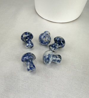 Sodalite Mini Mushroom Carving - Intuitively Chosen